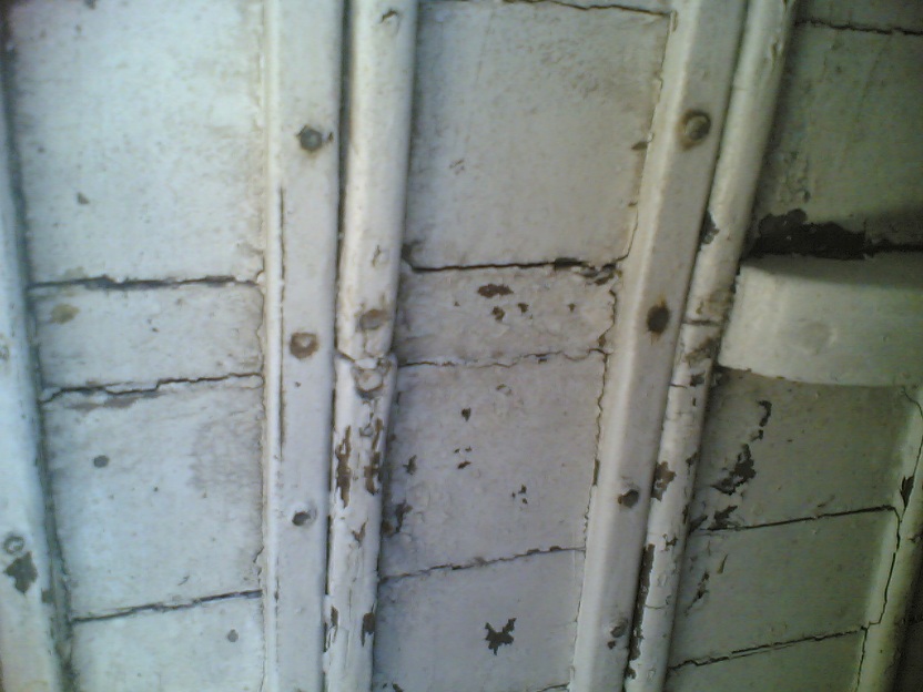 [Immagine: 201264225133_chiglia 02.jpg]